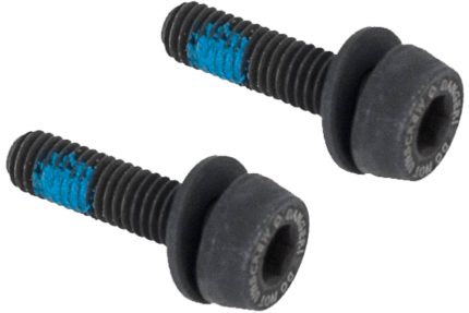 Campagnolo Bevestigingsbouten Achterrem 29mm 2 stuks (20-24mm)